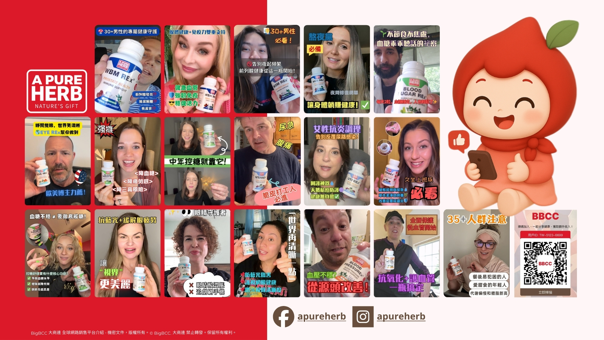 BigBCC 大商連平台與社群推廣素材示意:整合社群短影音、用戶分享與官方帳號資訊,作為純草本健康在台數位通路布局的一環。